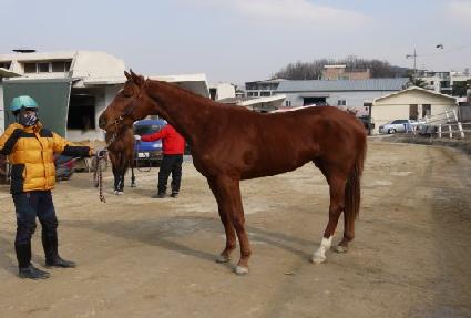 �븮���� ����