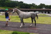 �������� (SUN BURSTER) ����