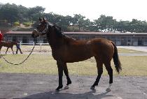 ������ (SUN STORM) ����