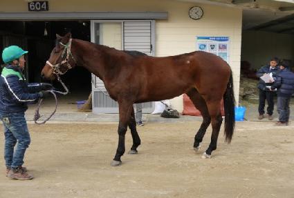 ����� ����