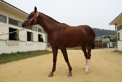 �����ǹ��� ����