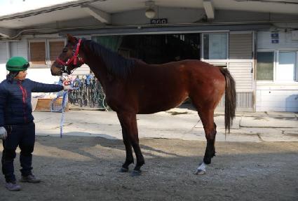 ���� ����