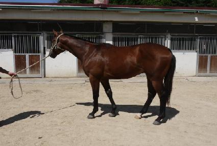 �ű�� ����