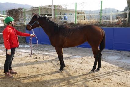 ���ɺ� ����