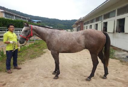 �帲��Ʈ�� ����