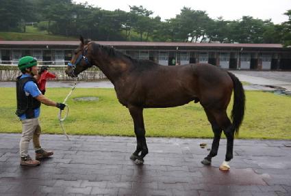 ���Ⱥ��� ����