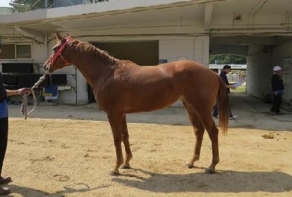 ���Ϸ��� ����