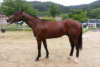 �帲���� ����