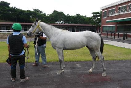 ��ȭ��Ʈ�轺 ����