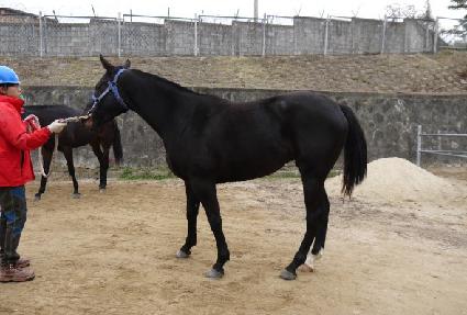 ����Ű�ڵ� ����