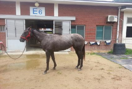 �۷ι��ѹ��� ����