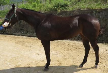 �ο����� ����