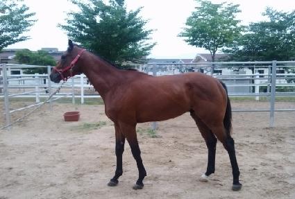 ���� ����