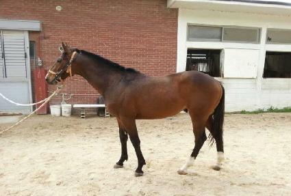 ���� ����