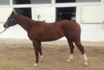 ���õ�� ����