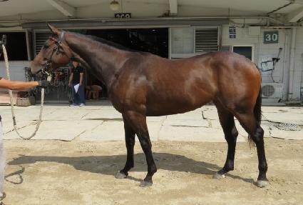 ��εڿ� ����