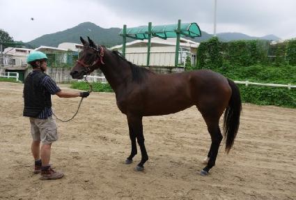 ���۶��̾� ����