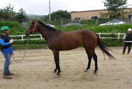 ��������� ����