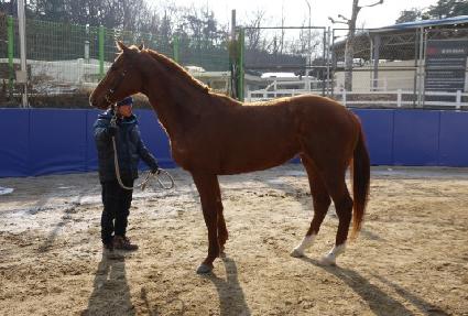 ����Ű�� ����