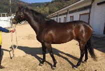 ���̾��ټ� (PAY ATTENTION) ����