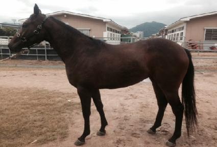 �ú����ε�� ����