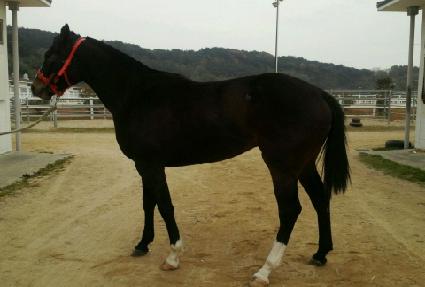 ��Ŀ������ ����