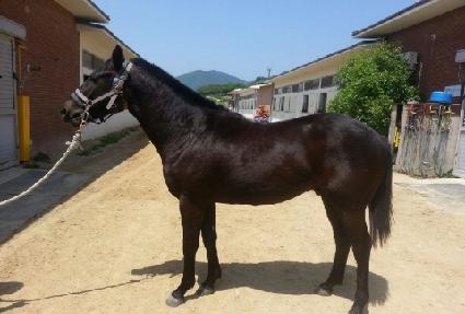 ���丮�� ����