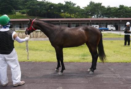 ������ ����