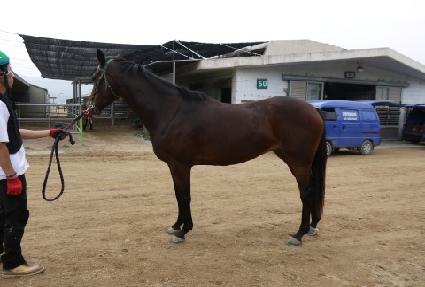 ����¡�Ǵн� ����