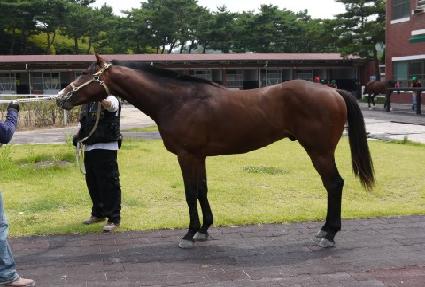 �ڽ��� ����