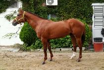 ��ٸ����� (BAEDARI GANGJA) ����