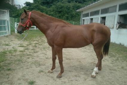 ���Ϸ� ����