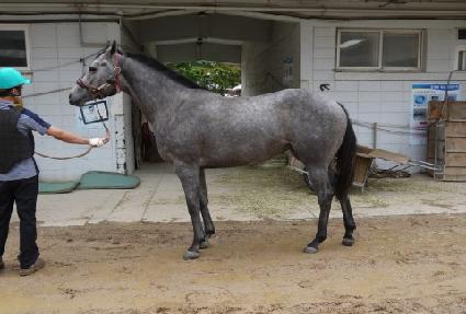 �½���� ����