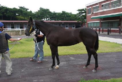 �����ǹ� ����