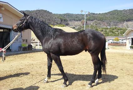 ǻ�����ũ ����