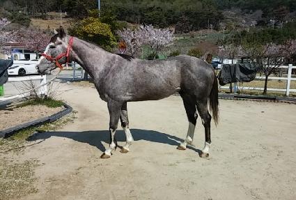 ���Ϻ���� ����