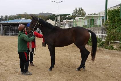 Ŀ�Ǵ��� ����