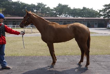 �������� ����