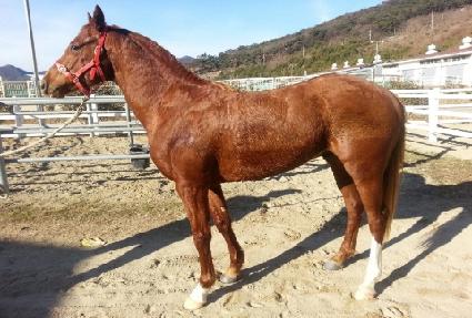 ������� ����