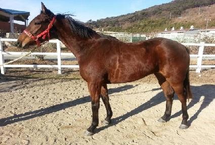 ������� ����