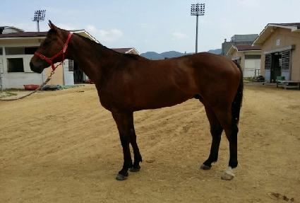 ���ν�Ÿ ����