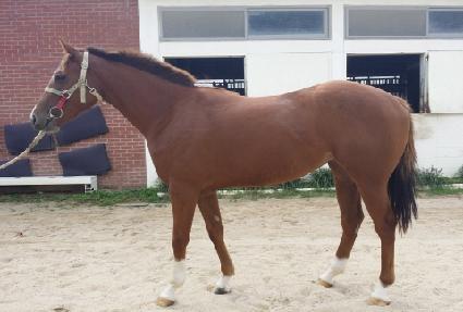 ���̽����� ����