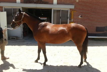 ����´��� ����