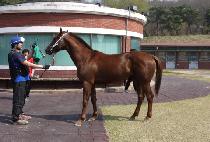 ������ (SAEJAE SARANG) ����