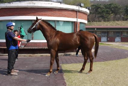 ������ ����