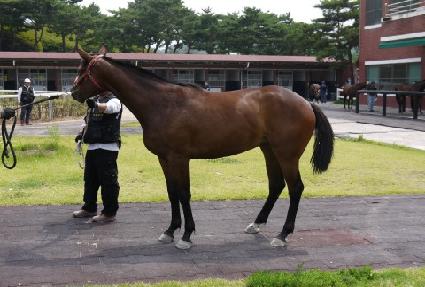 �κ�Ƽ�� ����