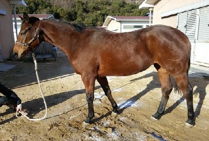 ����ũ ����