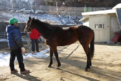 ���ΰ� ����