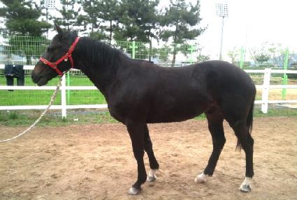 �������� ����