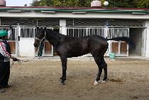 �׶����� (GRAND NOIR) ����